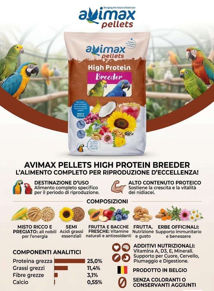 Avimax Belgio Estrusi Hight Protein Breeder 10kg - Sanny Passione Ornitologica