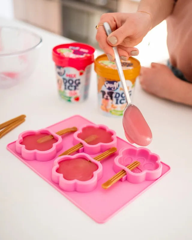 Gelato per Cane al gusto di fragola