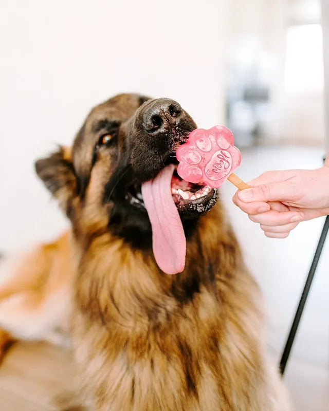Gelato per Cane al gusto di fragola