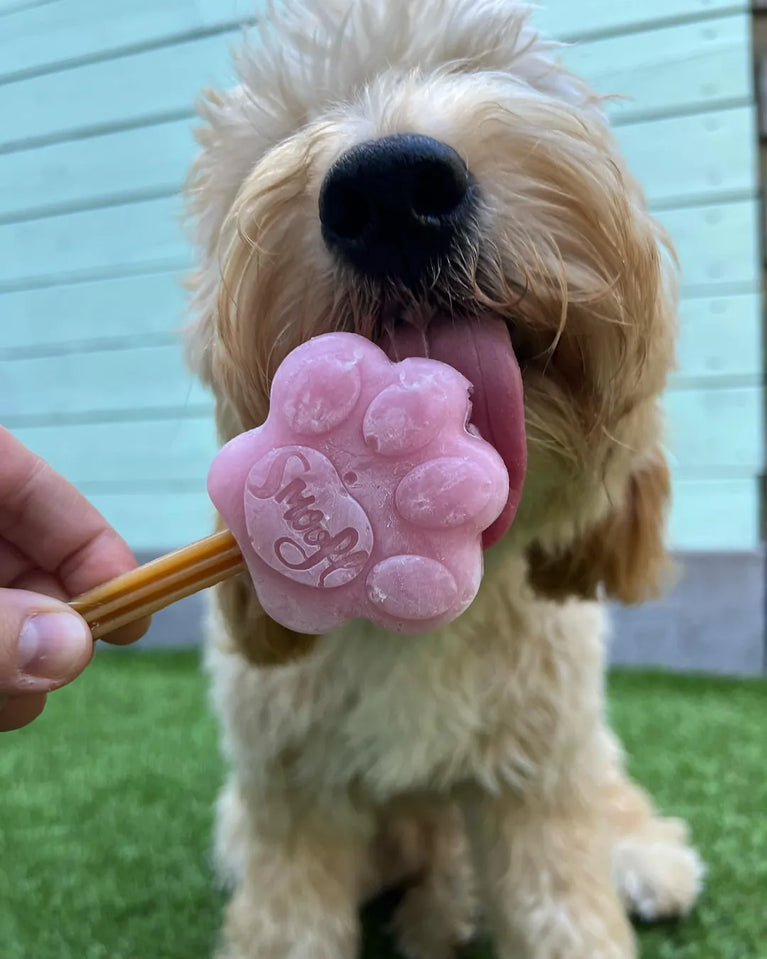 Gelato per Cane al gusto di fragola