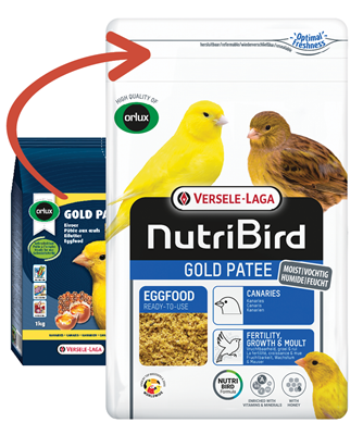 Gold Paté Canarini Giallo Morbido