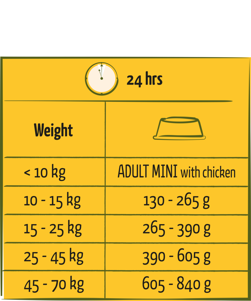 Adult with Chicken all breeds - Sanny Passione Ornitologica