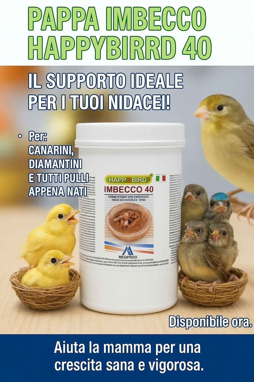IMBECCO canarini, esotici 40% di proteine grezze - Sanny Passione Ornitologica