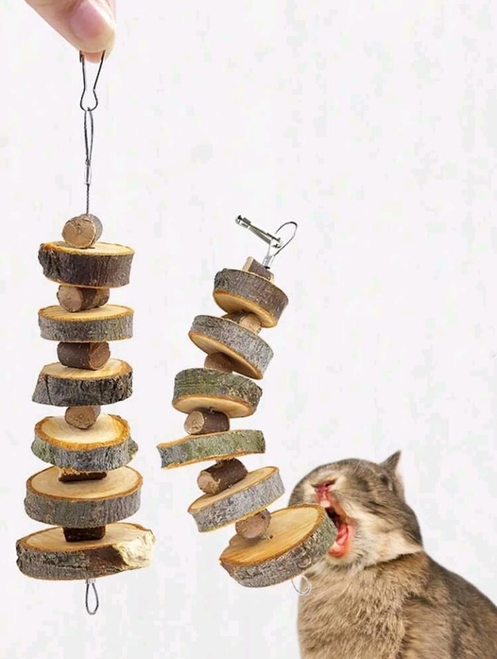 GIOCHI PER LA MASTICAZIONE DI CRICETI,CONIGLI E CAVIE