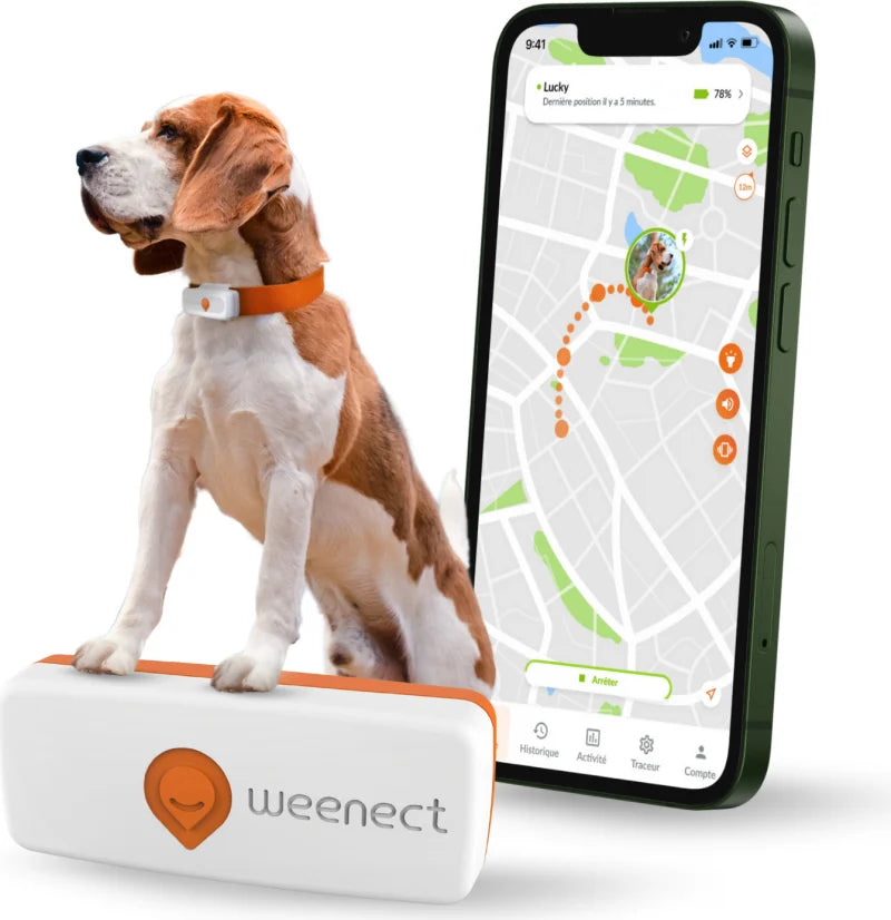 Localizzatore GPS per Cane