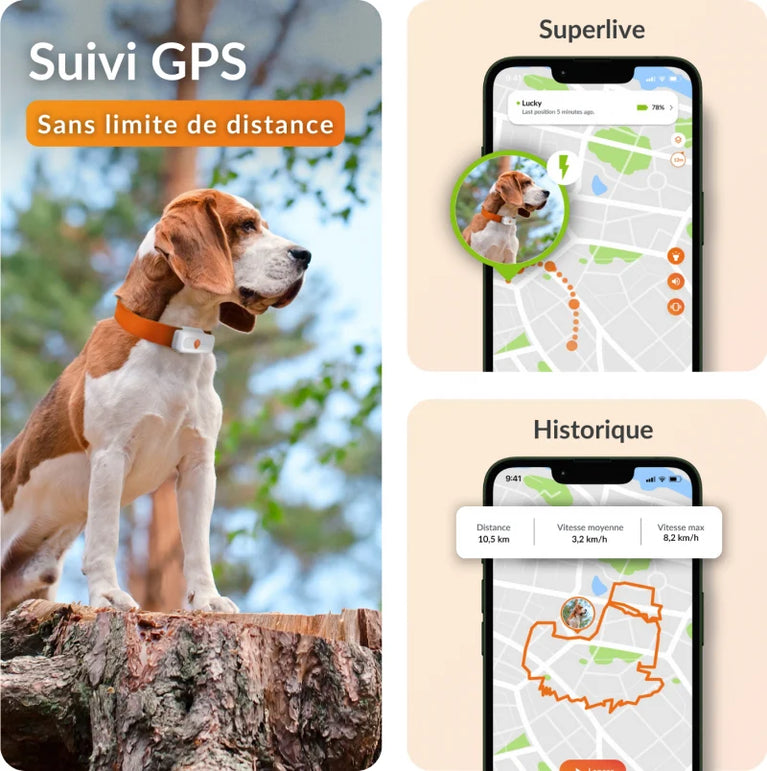 Localizzatore GPS per Cane