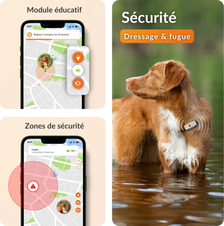 Localizzatore GPS per Cane