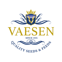 SEMI DI CAROTE VAESEN