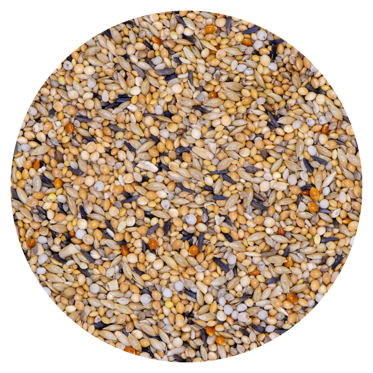 Miscela Vaesen Diamante di Gould 218 – Alimento per Esotici