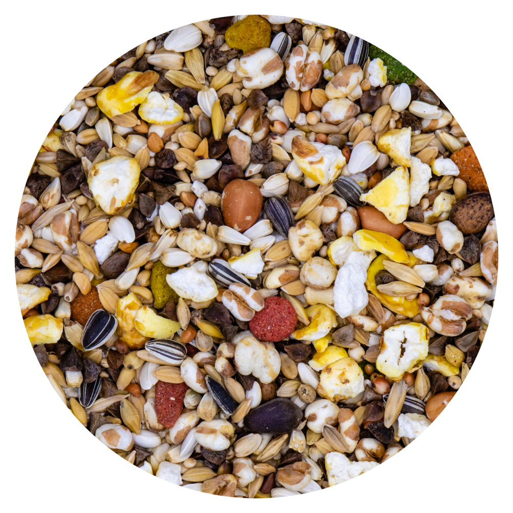 Opti-Mix Miscela Premium per Pappagalli Australiani di Grossa Taglia, con Cereali Soffiati, Frutta Secca, Popcorn, Estrusi di Rosa Selvatica, Grano Saraceno, Miglio Bianco