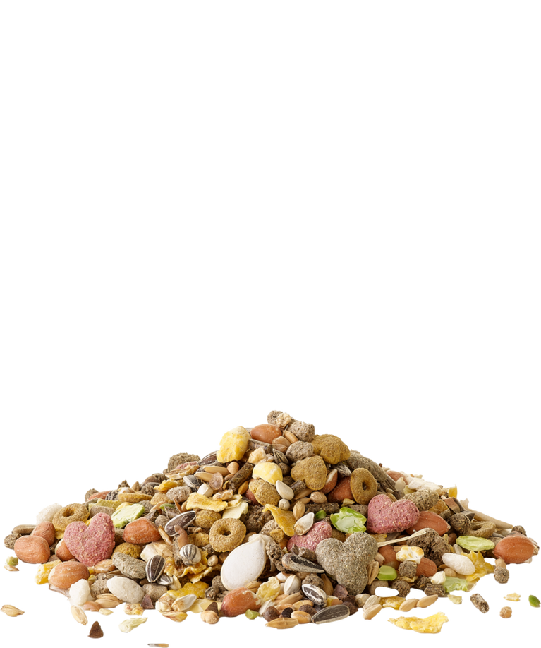 Muesli Hamster - Sanny Passione Ornitologica