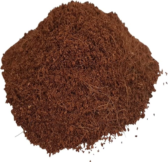 Nobby lettiera di cocco fine, blocco pressato