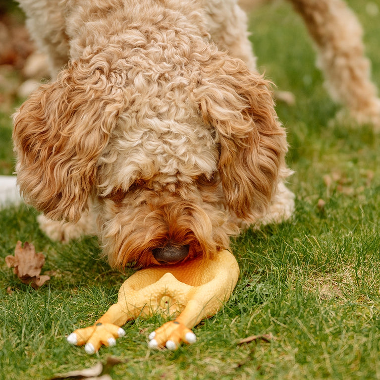 POLLO IN LATTICE GIOCO PER DOG