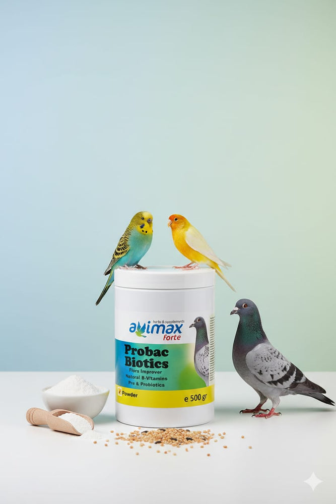 Probac Biotics Flora Improver Natural B-Vitamins Pre & Probiotics 500gr