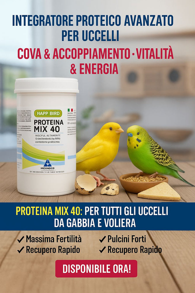 PROTEINA MIX 40% di origine Vegetale Happy Bird