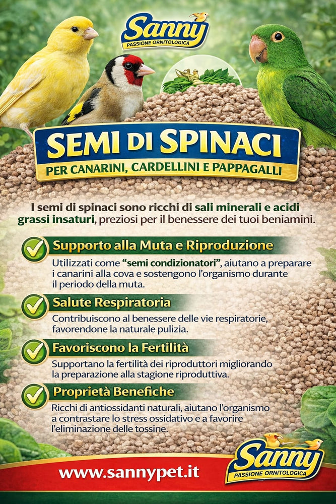Semi di Spinaci VAESEN BELGIO - Sanny Passione Ornitologica