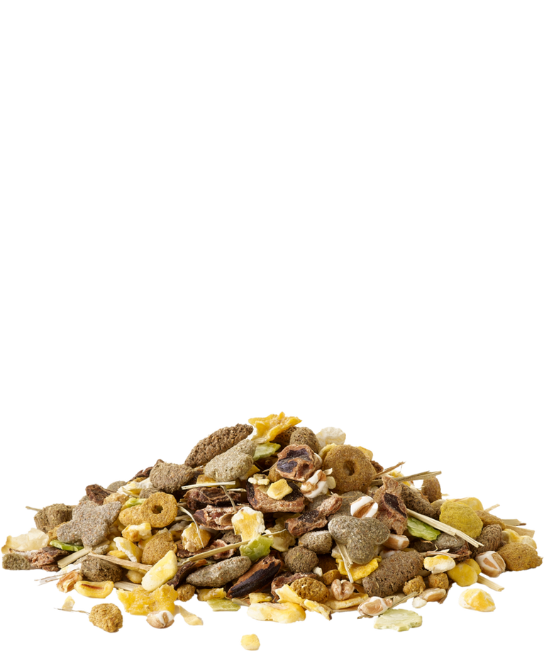 Snack with Popcorn