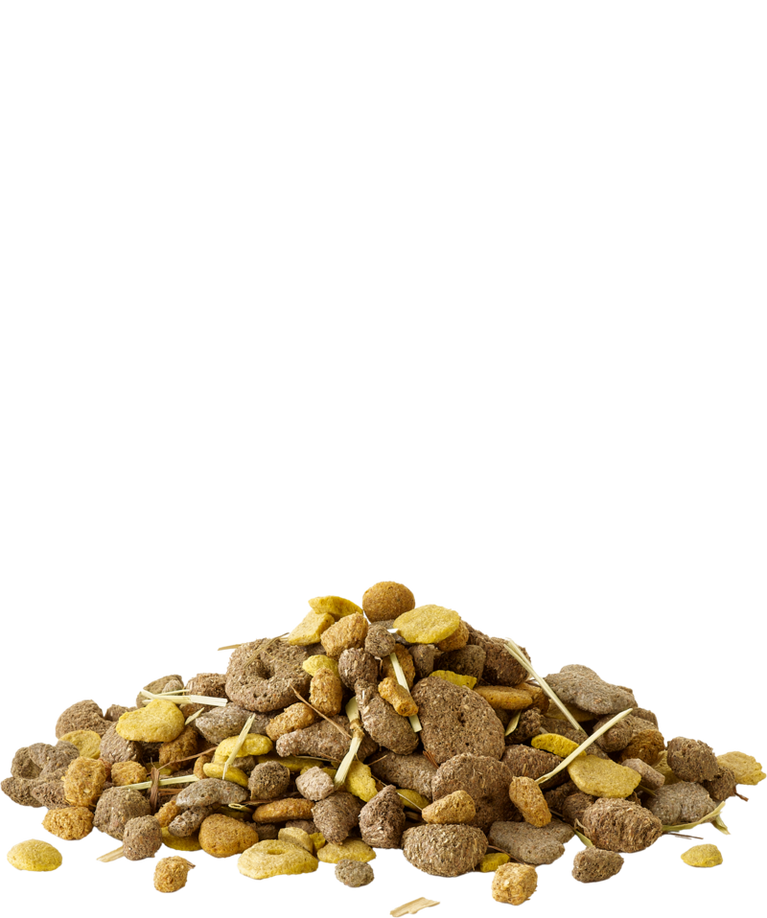 Snack with Fibres