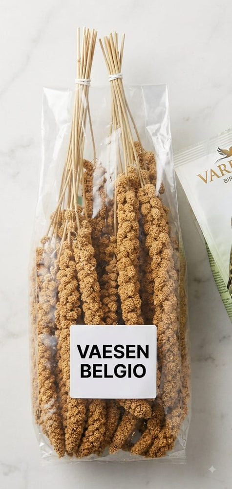 Spighe di Panico VAESEN – Snack Naturale per Uccelli da Gabbia - Sanny Passione Ornitologica