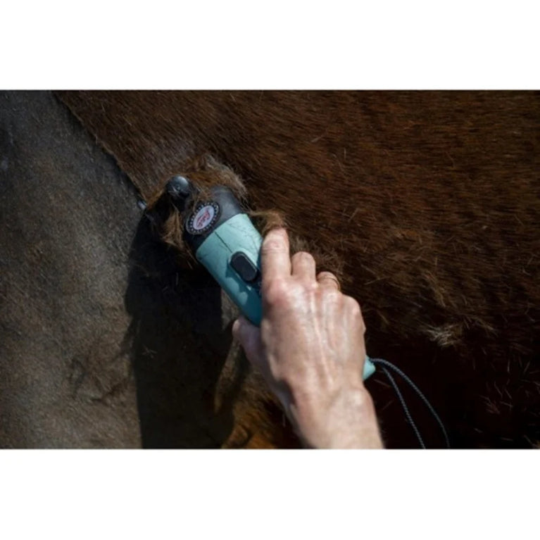 Tosatrice LISTER Star in borsa