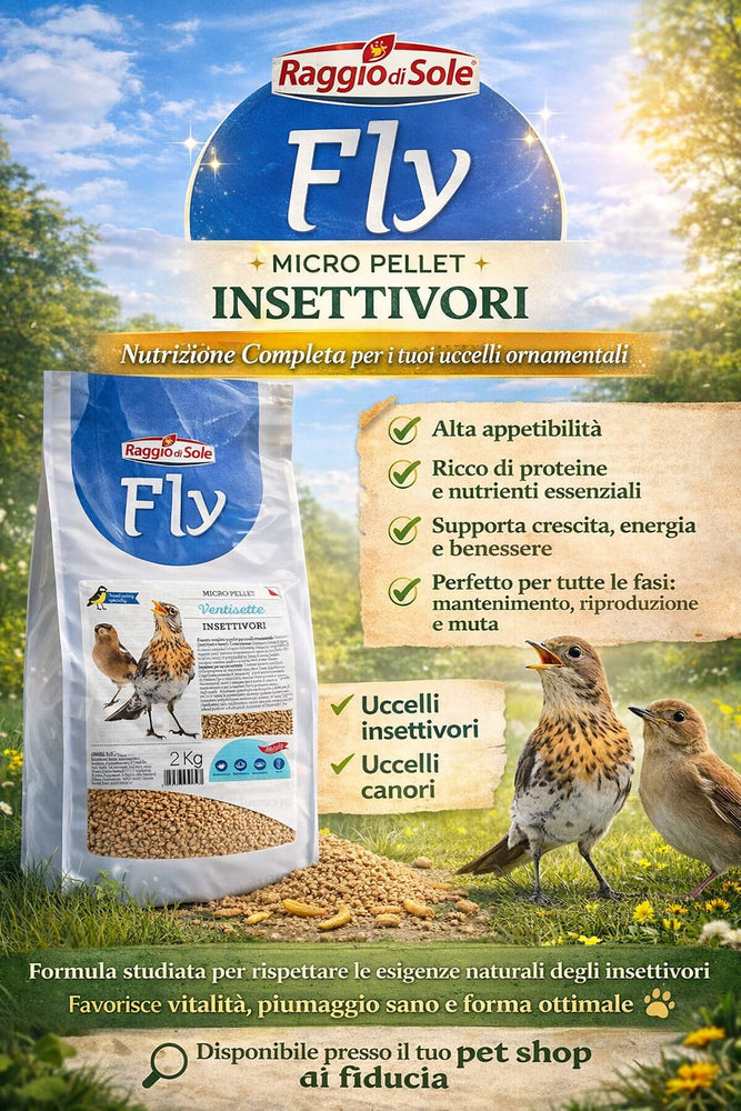 VENTISETTE – FLY MELODY (uccelli insettivori e canori) Raggio di Sole - Sanny Passione Ornitologica