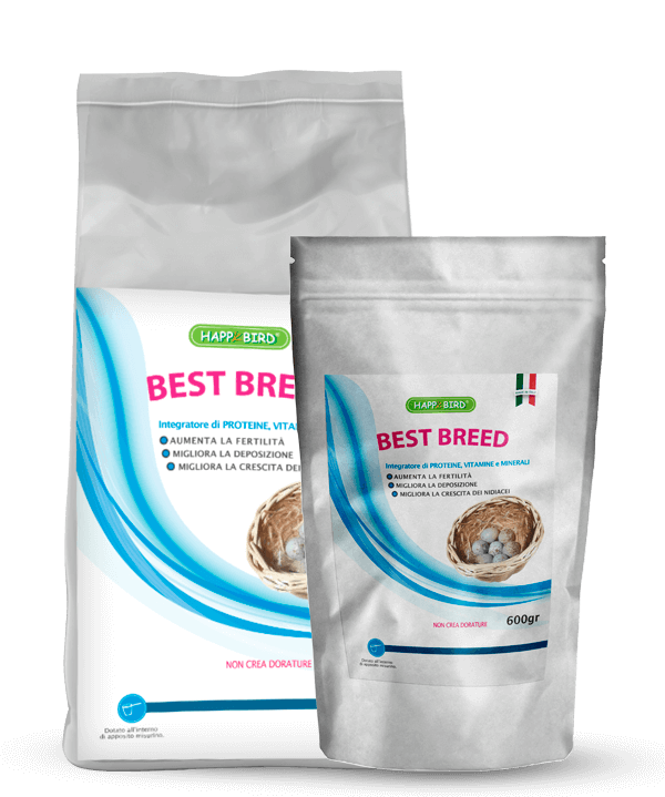 BEST  BREED - INTEGRATORE. AUMENTA LA FERTILITÀ MIGLIORA LA DEPOSIZIONE MIGLIORA LA CRESCITA DEI NIDIACEI Integratore dedicato all’allevamento da aggiungere al pastoncino semplice.. Sacchetto da 2 kg o da 600 gr